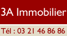 3A Immobilier
